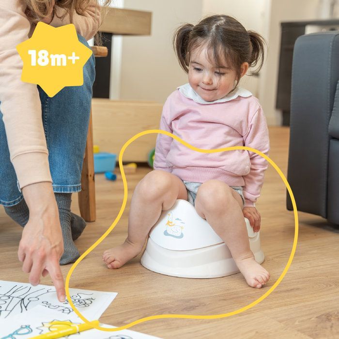 Badabulle - Baby Potty with Removable Bowl - Ergonomic Seat - Easy Cleaning - From 12 Months - Seagull