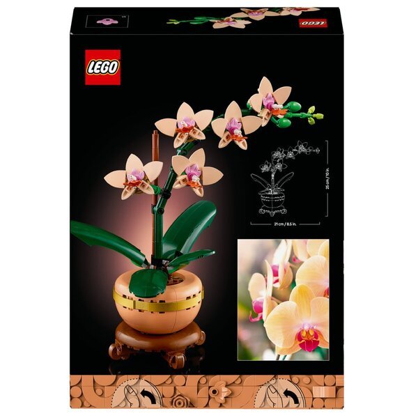 LEGO Botanicals 10343 Mini Orhideja