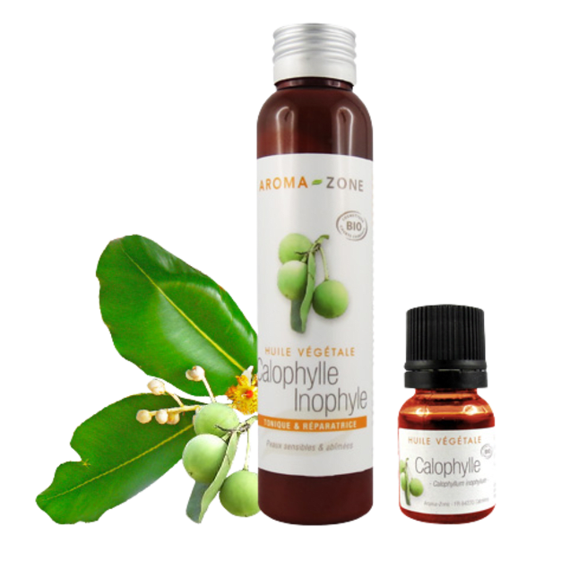 Huile de Calophylle inophyle BIO 100ml