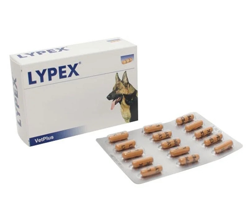 VET PLUS Lypex 60 capsules Alvleesklierproblemen