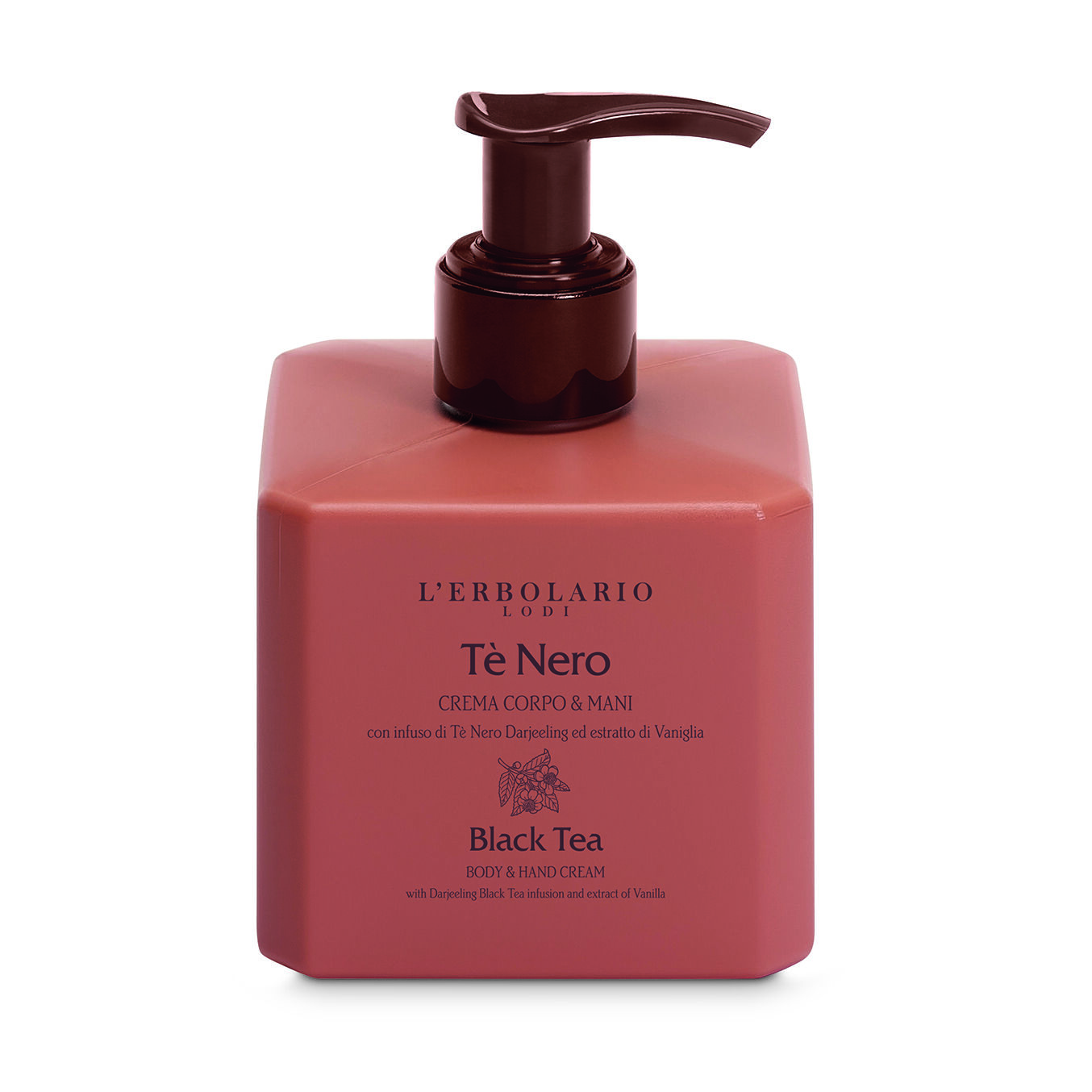 L'erbario