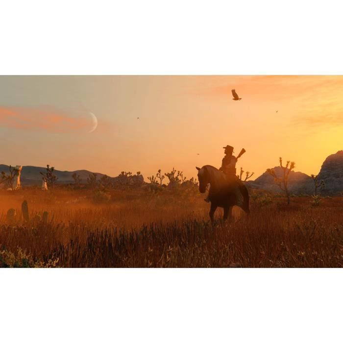 Red Dead Redemption - Nintendo Switch Game - Code in a box