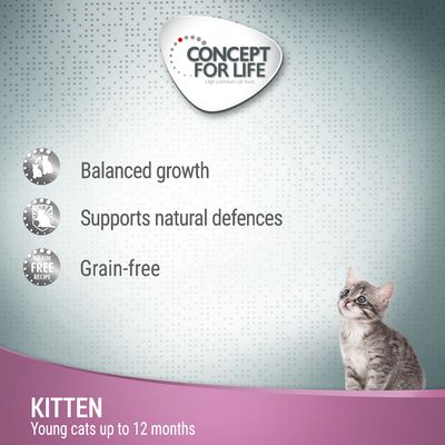 Concept for Life Hovězí pro koťata bez obilovin - v želé