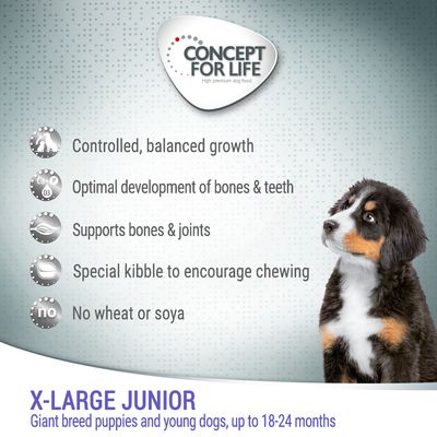 Koncepcja życia X-Large Junior