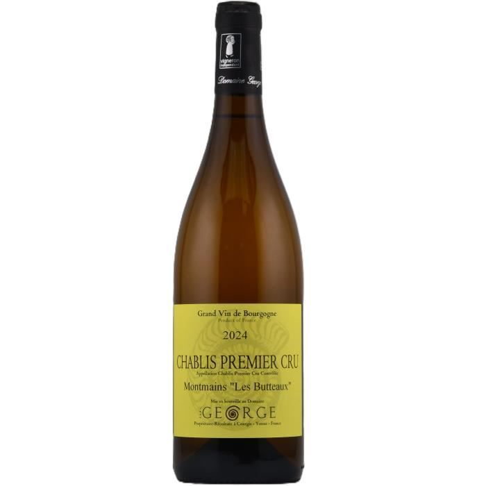 Domaine George Montmains 