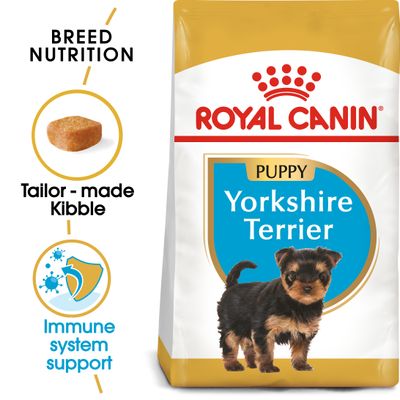 Royal Canin Yorkshire Terrier para filhotes