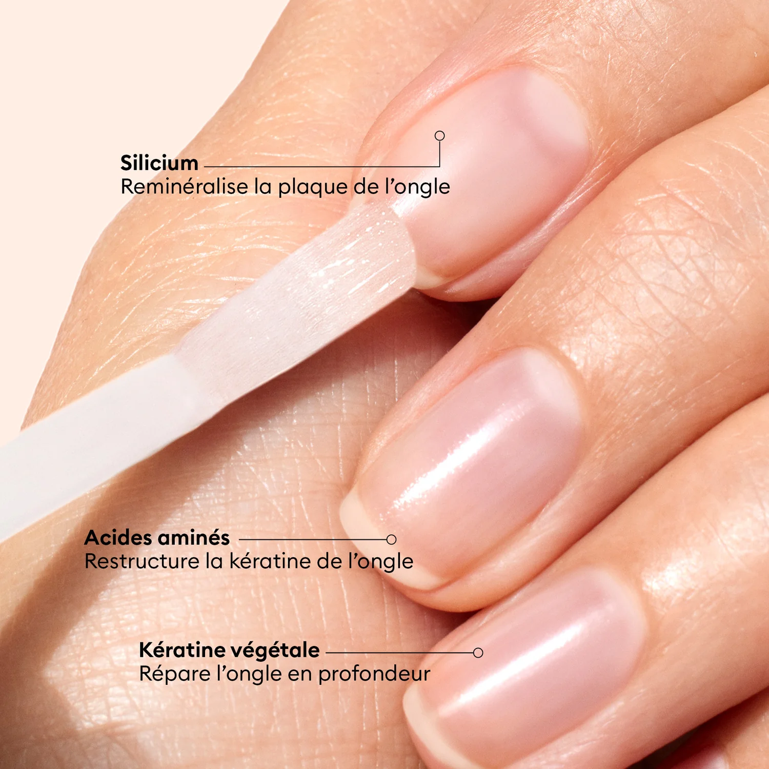Soins - 15 ml Vernis Amer
