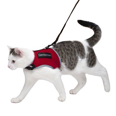 Ζώνη Trixie XCat με λουρί και αποκλειστικά αυτοκόλλητα