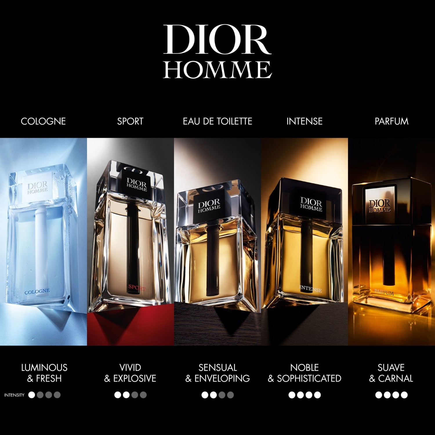 DIOR Parfem Dior Homme - 50 ml