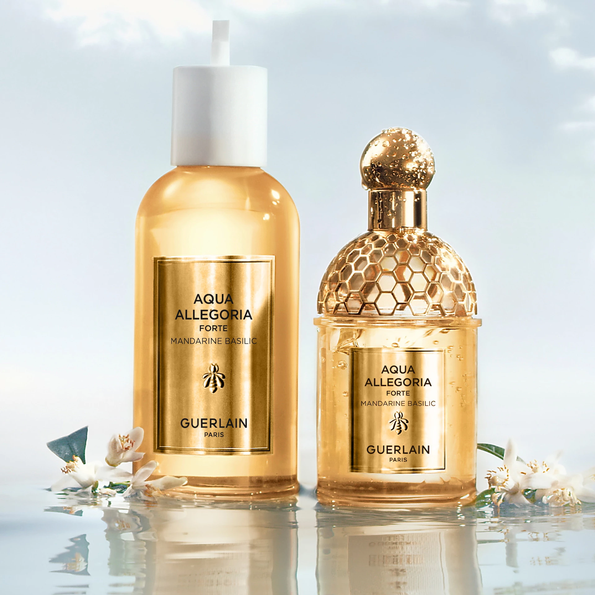 Aqua Allegoria Mandarine Basilic Forte EdP 75 ml - GUERLAIN