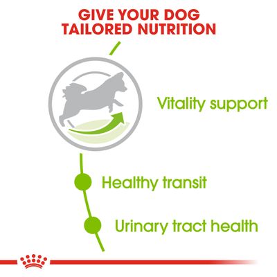 Royal Canin X-Small Adult 8+ kutyatáp