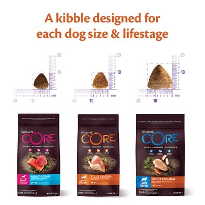 Wellness Core Medium & Large Adult Ocean tørrfôr til hund