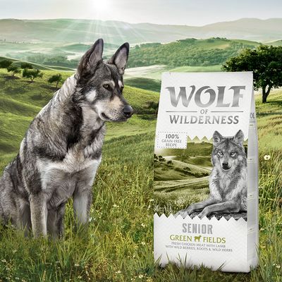 Wolf of Wilderness Senior \
