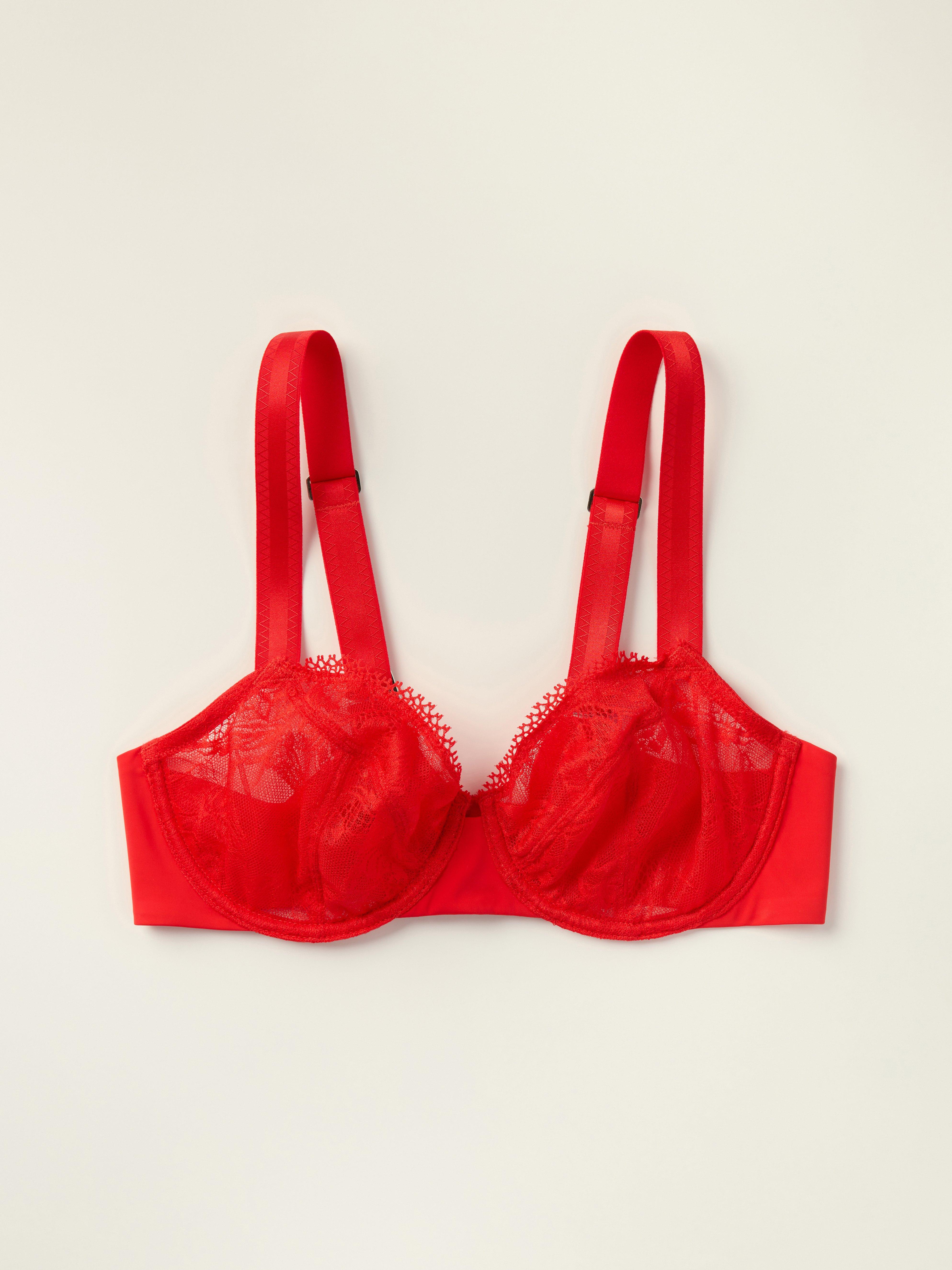 El pájaro bygelbh – Rojo intenso