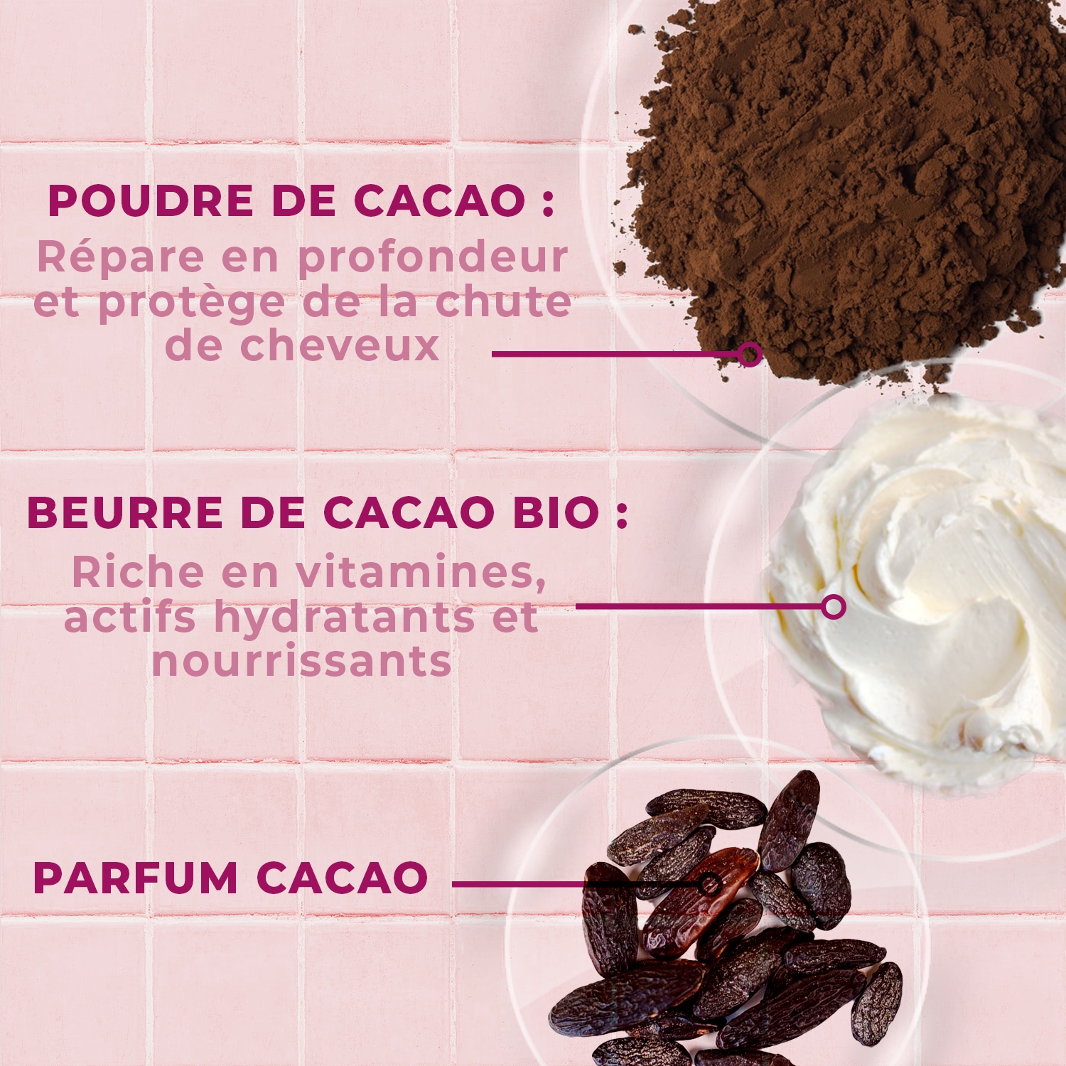 Energie Fruit shampooing nutri frizz sans sulfate - cheveux frises a crepus - beurre de cacao bio et poudre de cacao