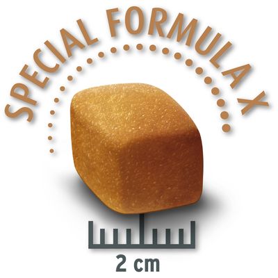 Concept voor Leven Voordelige Pakketten