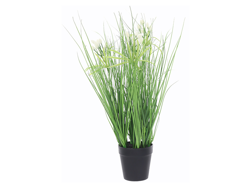 Trawa w doniczce 45 cm