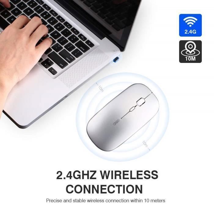 SDLOGAL Souris silencieuse optique sans fil rechargeable 2,4 G 1600 DPI avec récepteur USB, Niveau de batterie visible Argent
