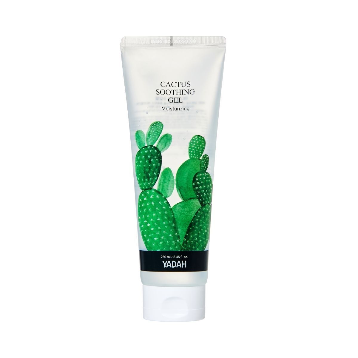 Cactus Yadah