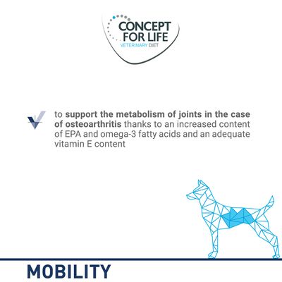 Concept pour la mobilité de l'alimentation vétérinaire Life