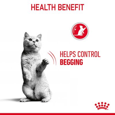 Royal Canin Control del Apetito Cuidado en Gelatina