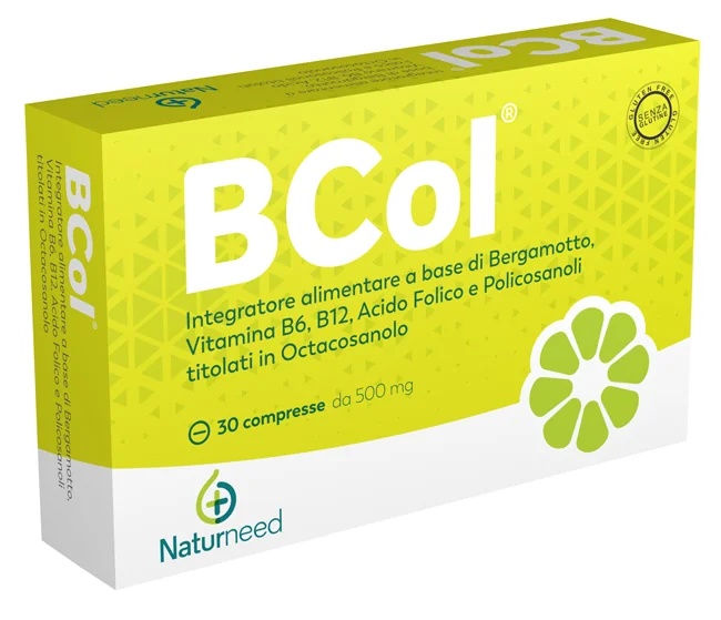 BSc. Compr. 30