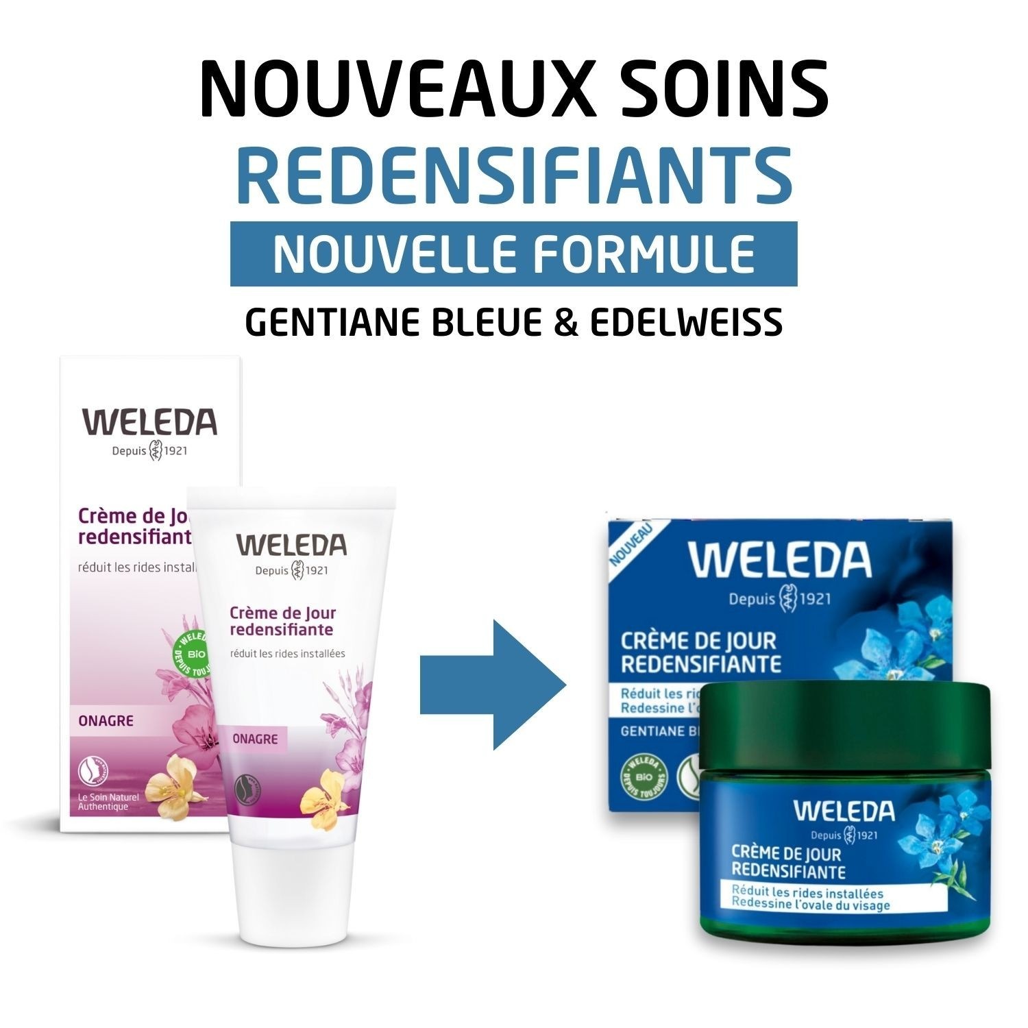 Weleda Crème de Jour redensifiante Gentiane Bleue et Edelweiss - 40 ml