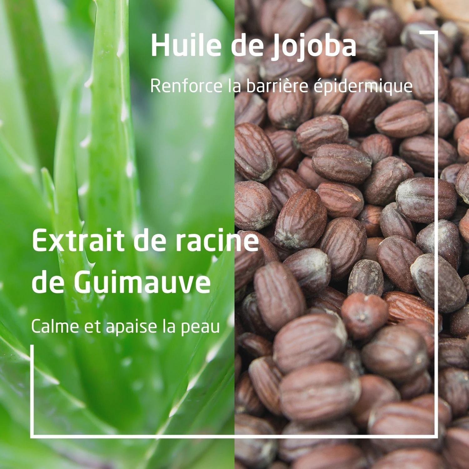 Weleda Baume après-rasage - 100 ml