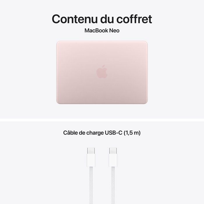 Apple - 13