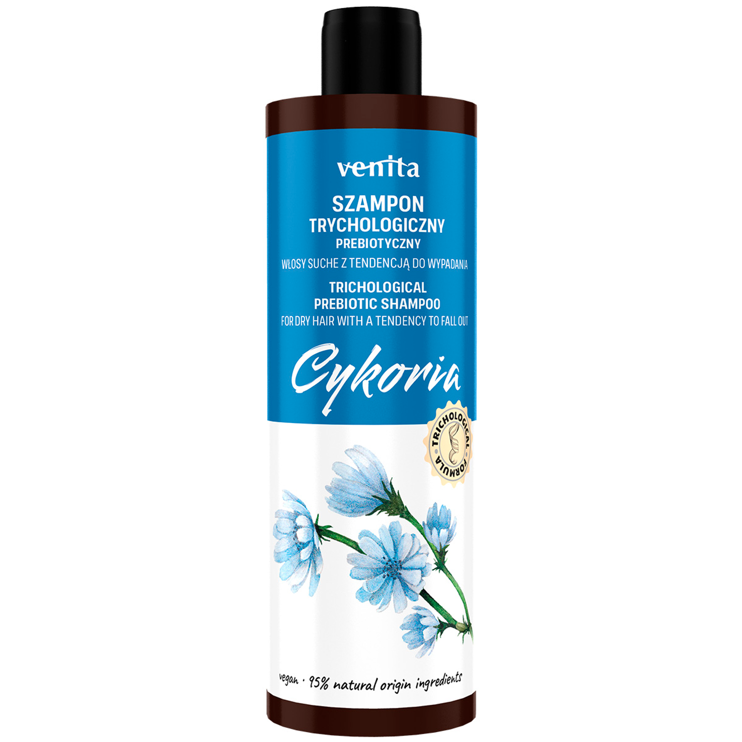 Venita Chicory