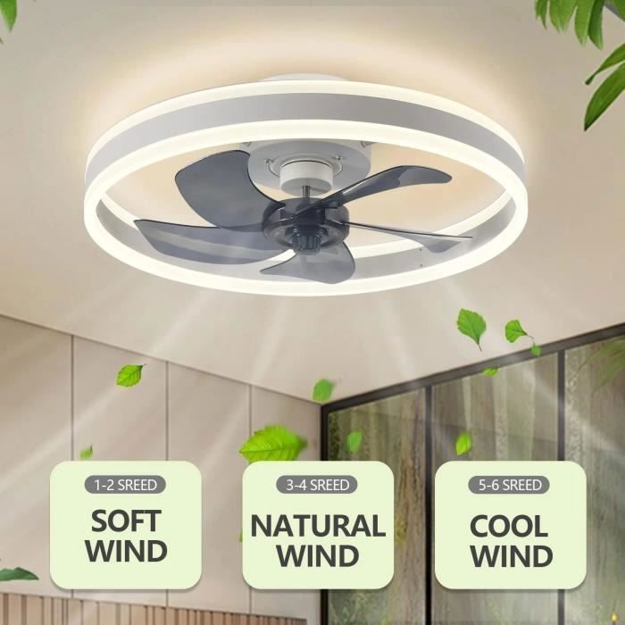 Ceiling Fan with Light, 6-Speed Remote Control, Kitchen Fan Light - BLACK