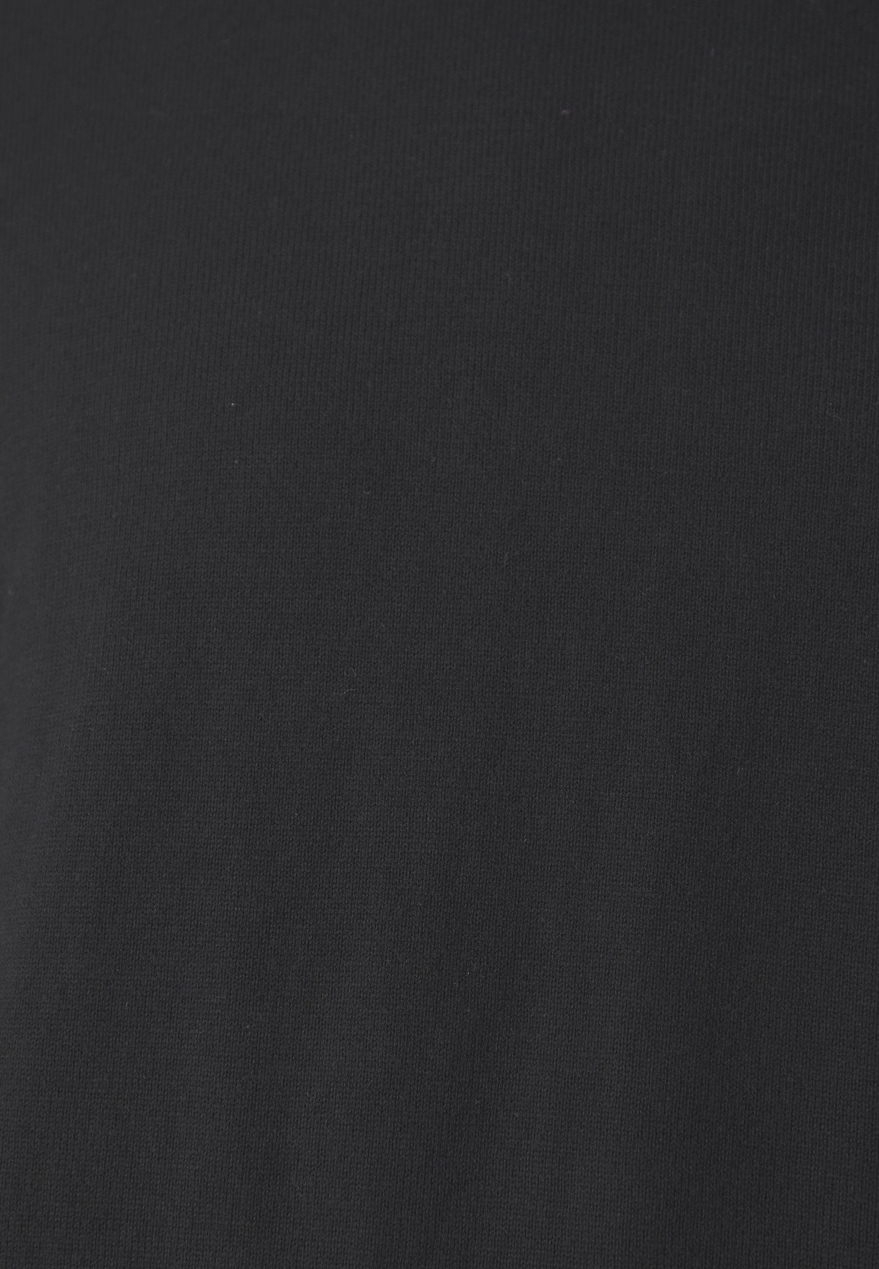 Selected Homme SLHBERG ROLL NECK NOOS - Jumper - black