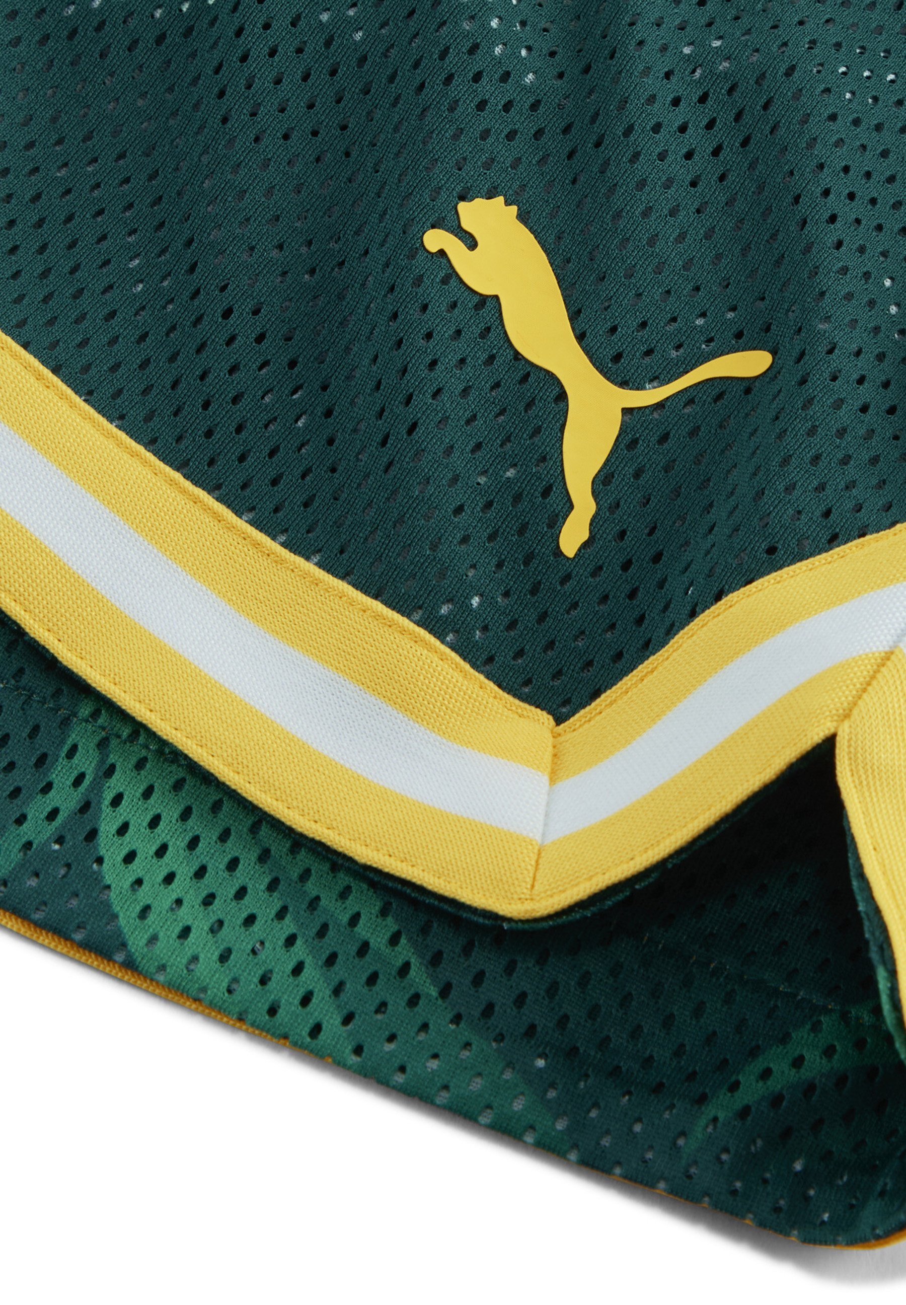 Puma HOOPS PALMEIRAS - Short de sport - archive green