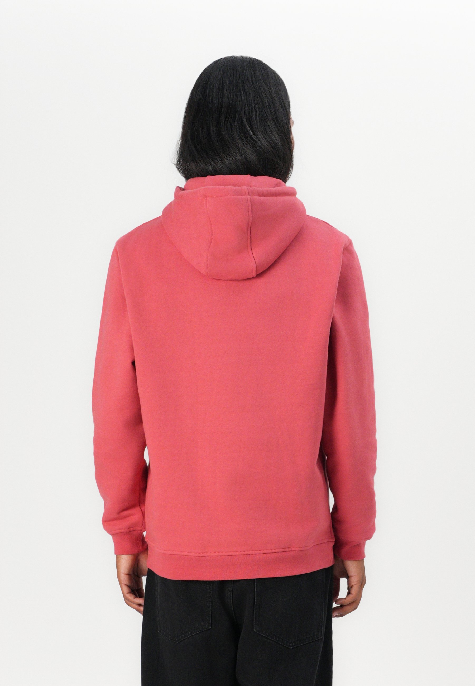 Santa Cruz GRABKE UNISEX - Sweatshirt - astro dust
