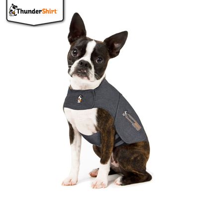Gilet anti-ansia per cani ThunderShirt - Grigio