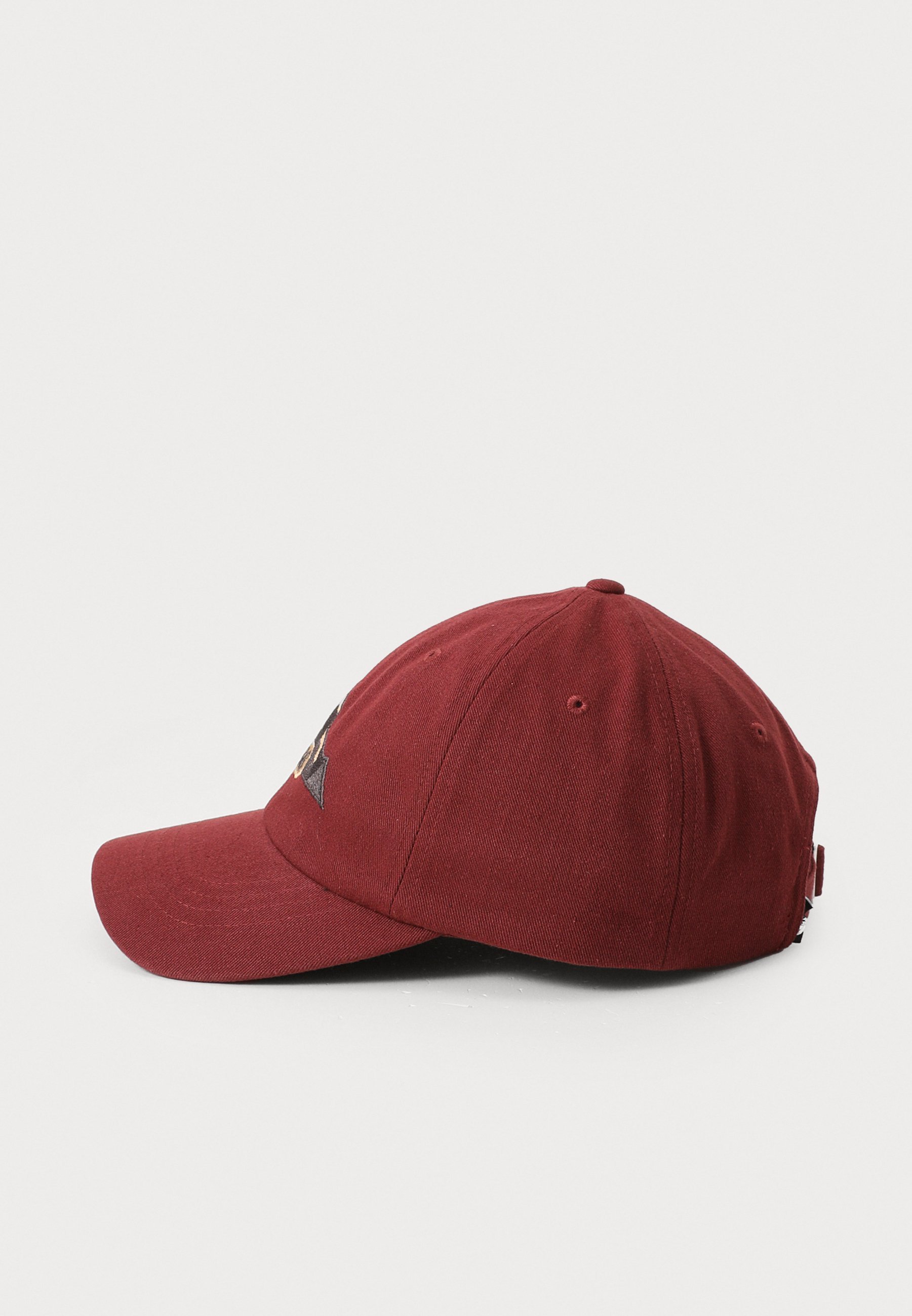 The North Face NORM HAT - Pet - sumak