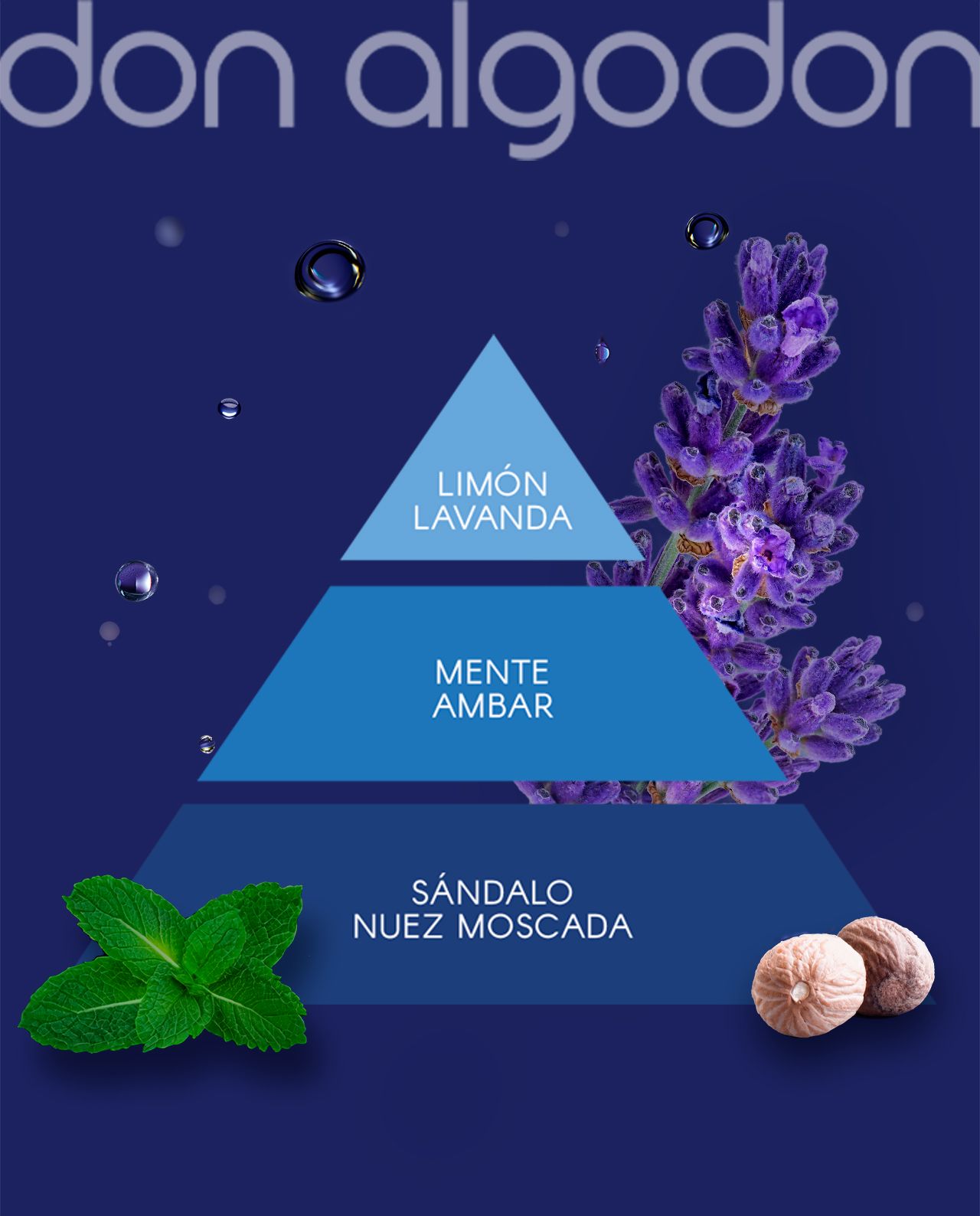 Muški set toaletne vode Mikado Poklon setovi muških parfema