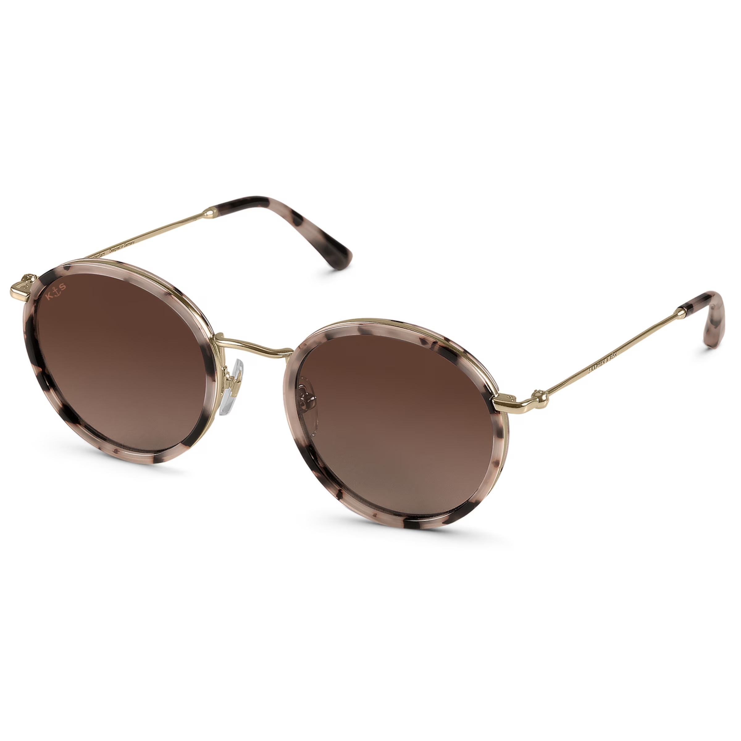 Tortue des sables d'Amsterdam brune