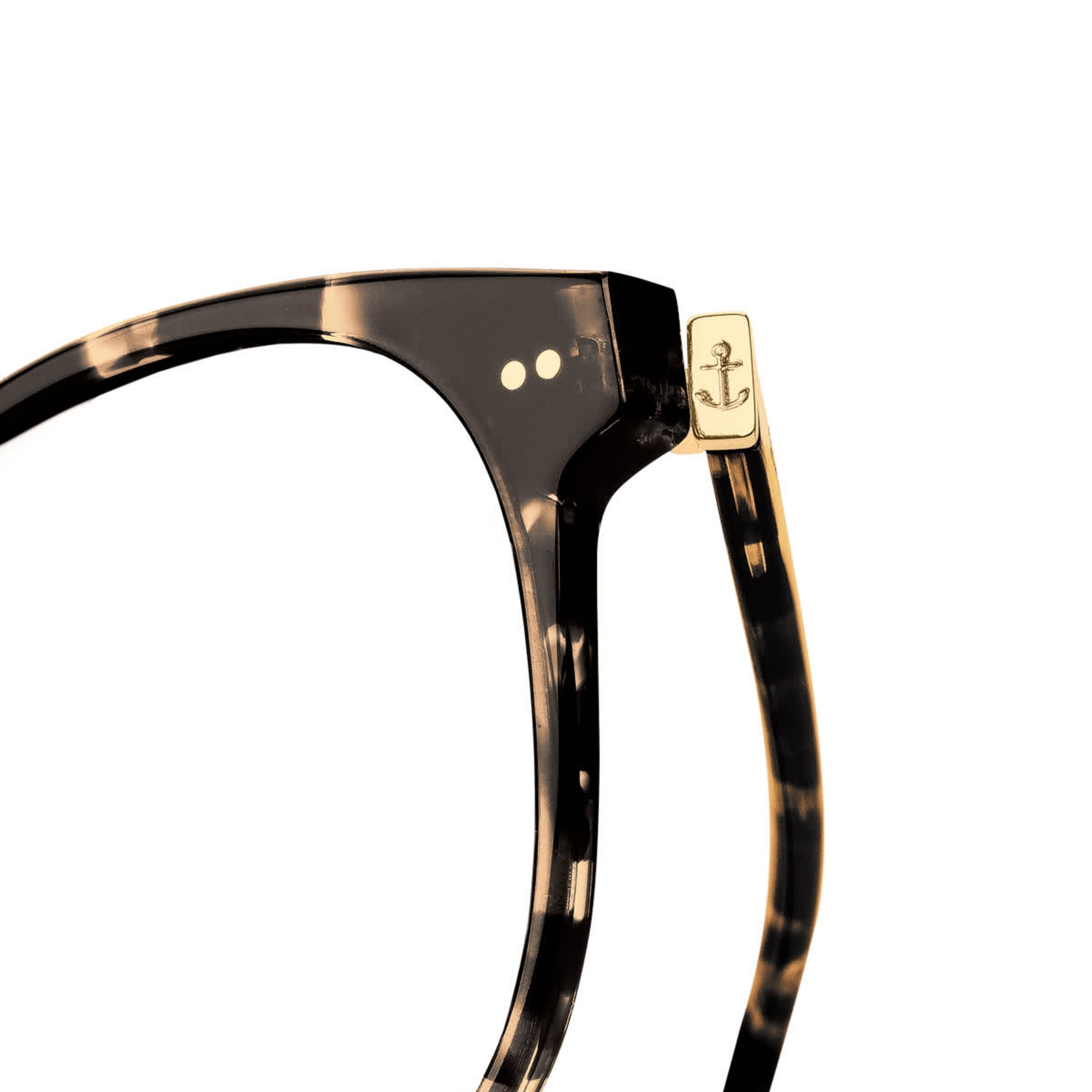 Tortue cristal de Nairobi