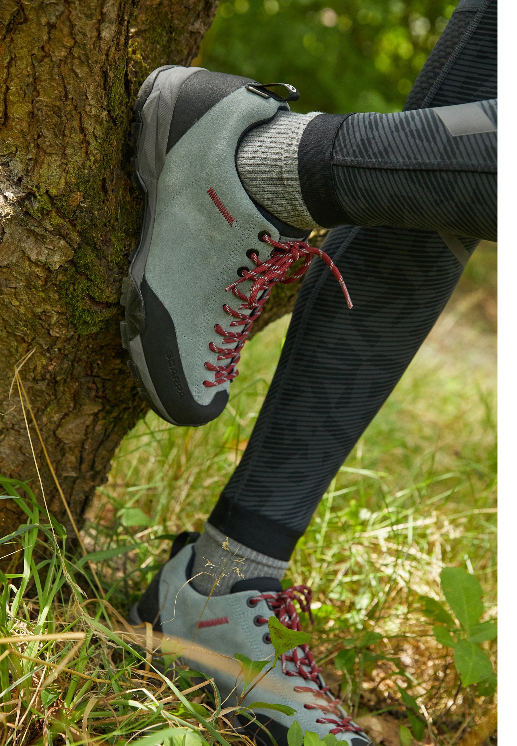 Scarpa MOJITO TRAIL GORE TEX - Botas de caminhada - cor conífera/framboesa