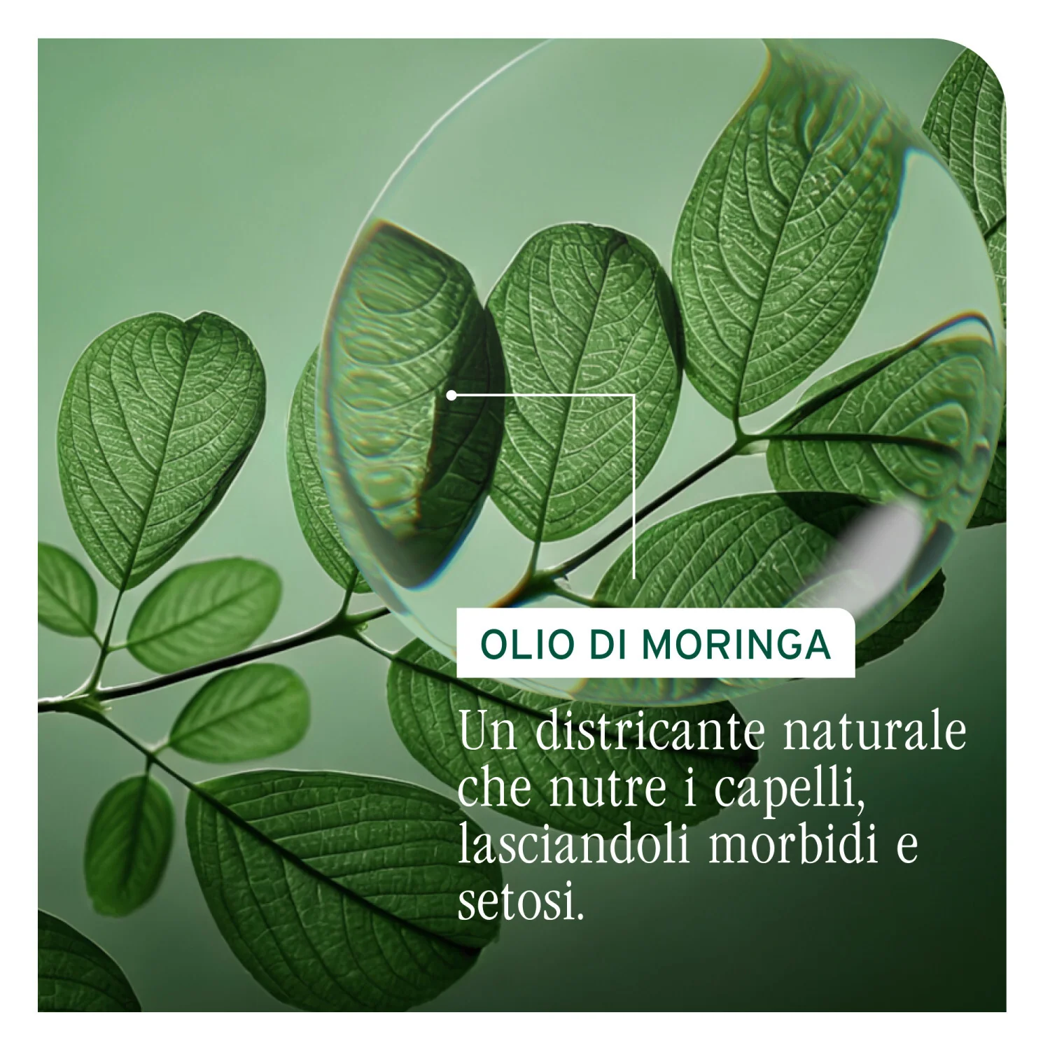 Styling All-In-One Olio Styling Multi-Beneficio - Olio Capelli Styling & Finish, Olio Capelli, Pre-Shampoo