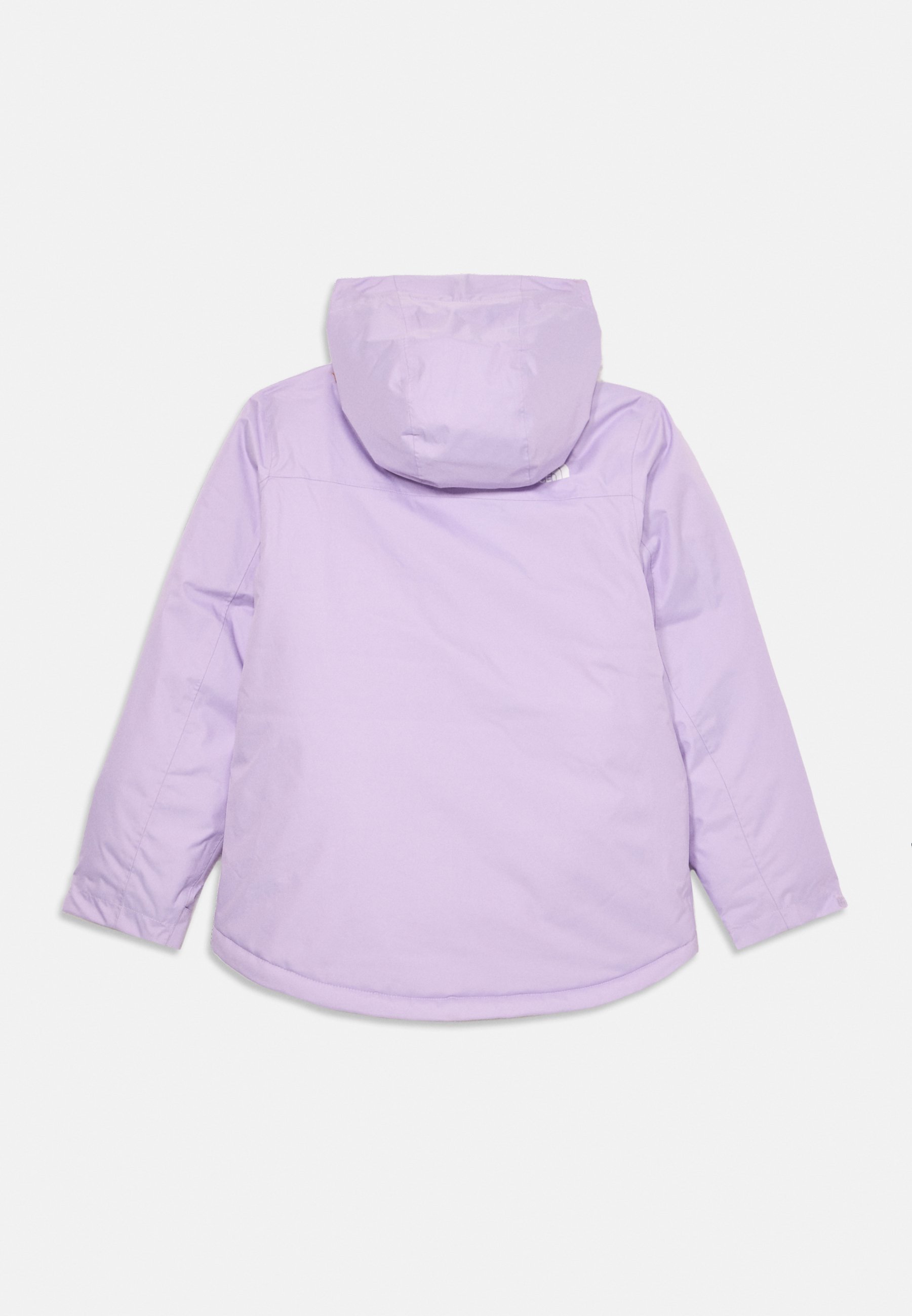 The North Face FREEDOM INSULATED UNISEX - Veste de ski - lilas clair