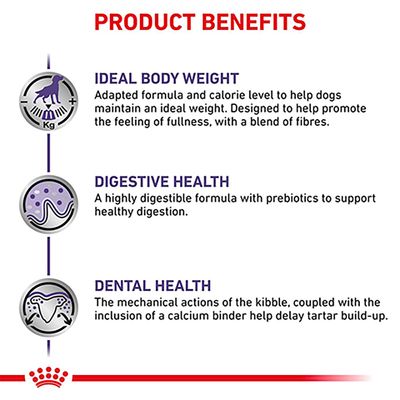 Royal Canin Expert - Wykastrowany dorosły mały pies