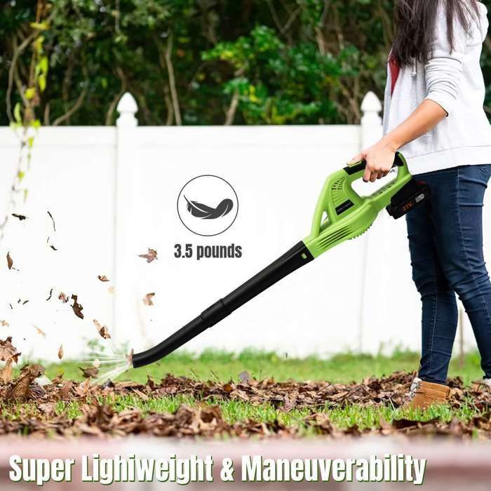 Souffleur de feuilles sans fil 3000 W 21 V - Turbo 240 km/h, 2 vitesses, 2 batteries 1,5 Ah