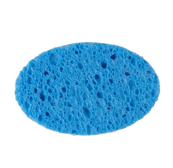Daržovių vonios kempinė