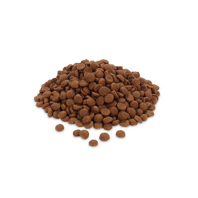 Feringa Adult Sterilisierte Lachse
