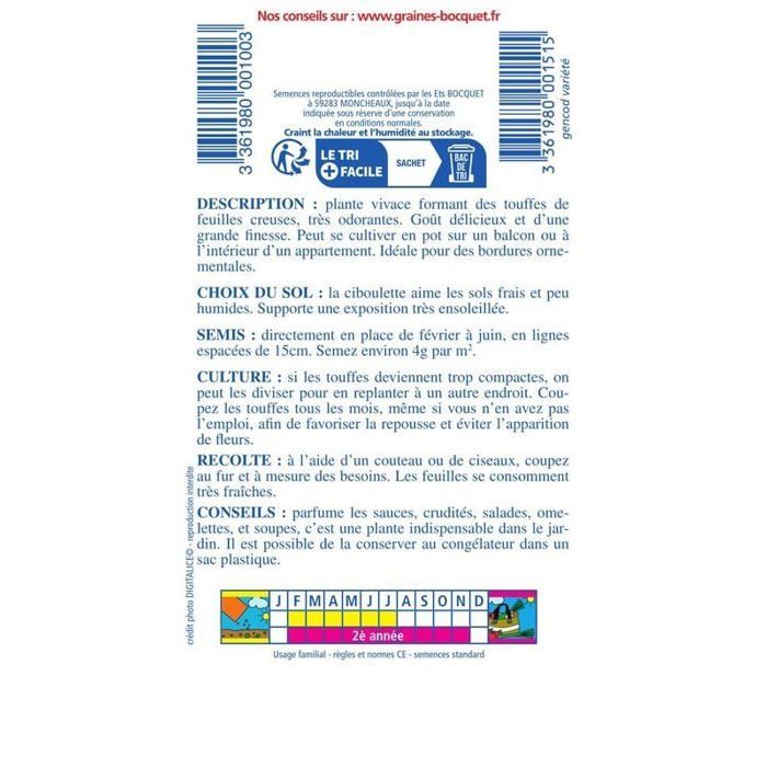Semilla - Cebollino común (civeta)