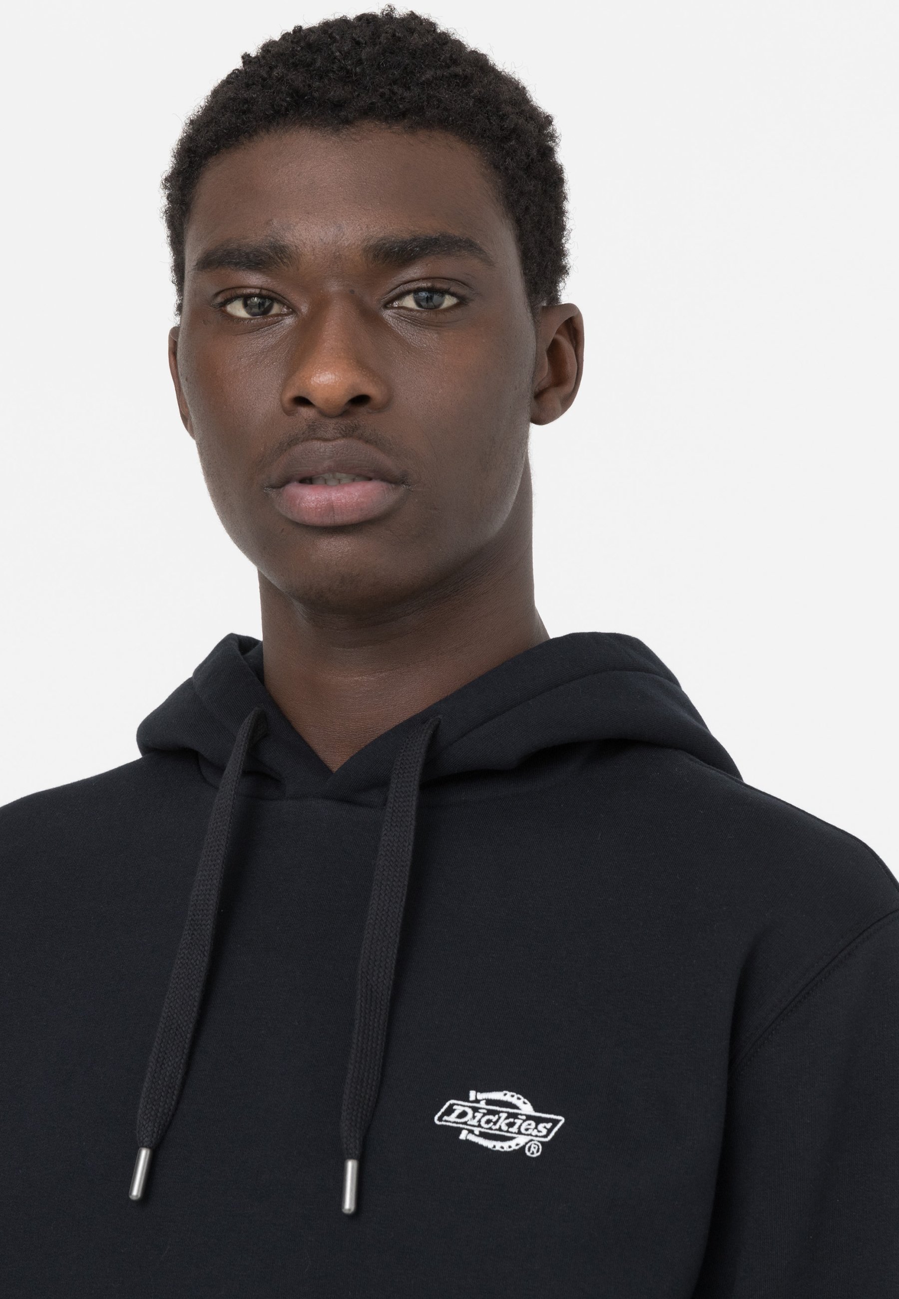 Felpa con cappuccio Dickies SUMMERDALE - nera