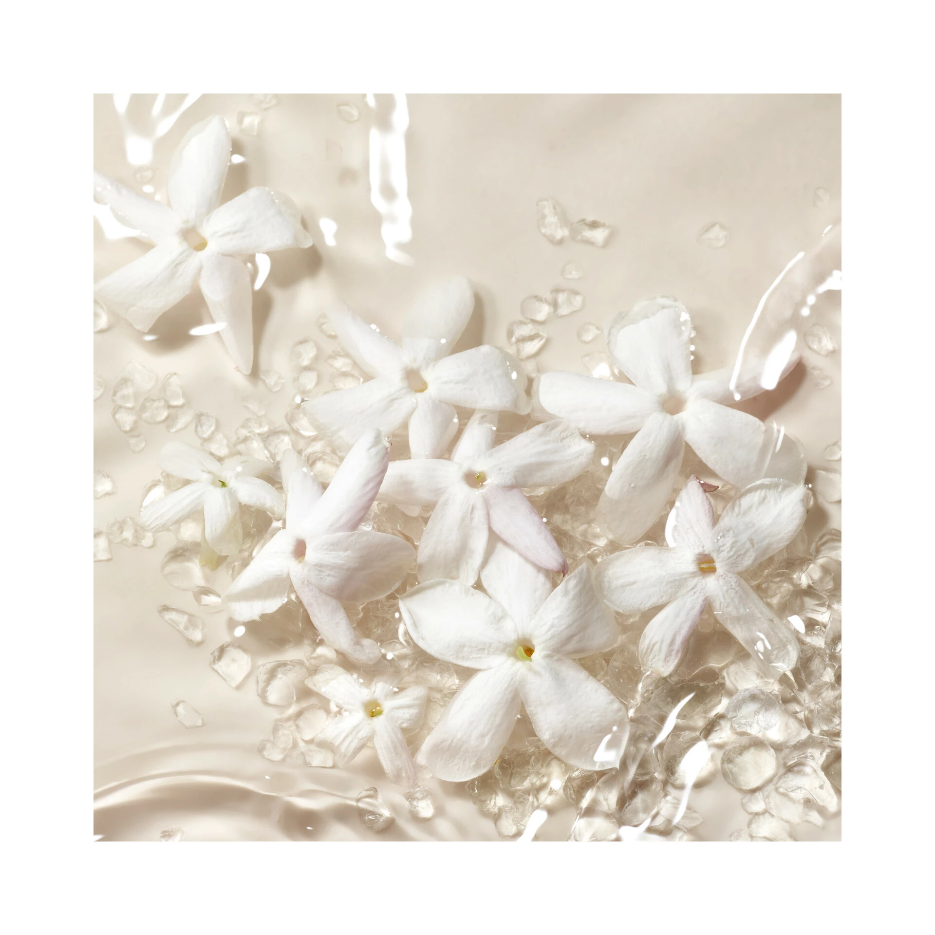 Blanc Kogane EdP 100 ml - Armani Privé