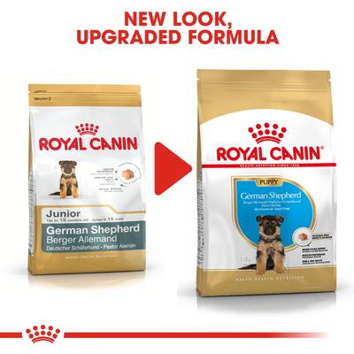 Chiot Berger Allemand Royal Canin